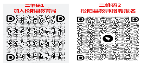 2023年丽水教师招聘-松阳县教育系统公开招聘中小学幼儿园教师20人公告