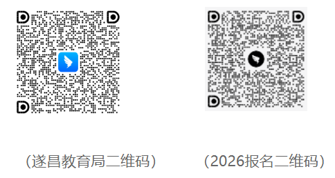 2026年浙江丽水市遂昌县教育系统公开招聘教师4人公告