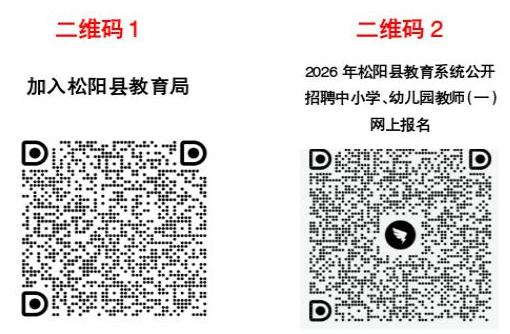 2026年浙江丽水市松阳县教育系统公开招聘中小学、幼儿园教师10人公告(一)