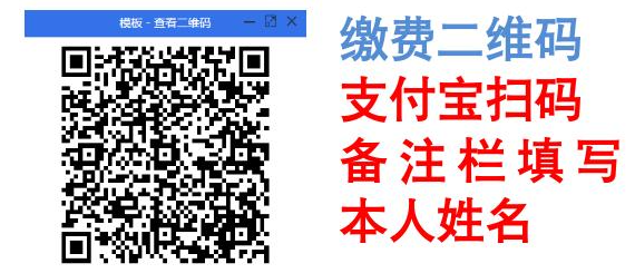 2026年浙江丽水市松阳县教育系统公开招聘中小学、幼儿园教师10人公告(一)