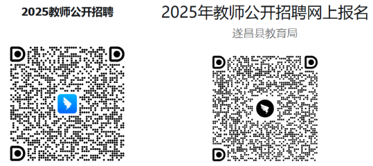 2025年丽水教师招聘-遂昌县教育系统公开招聘教师4人公告